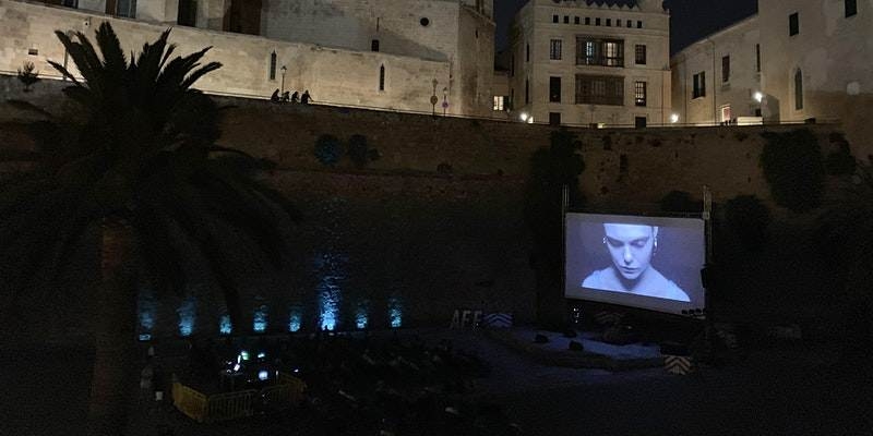 noticias palma de mallorca