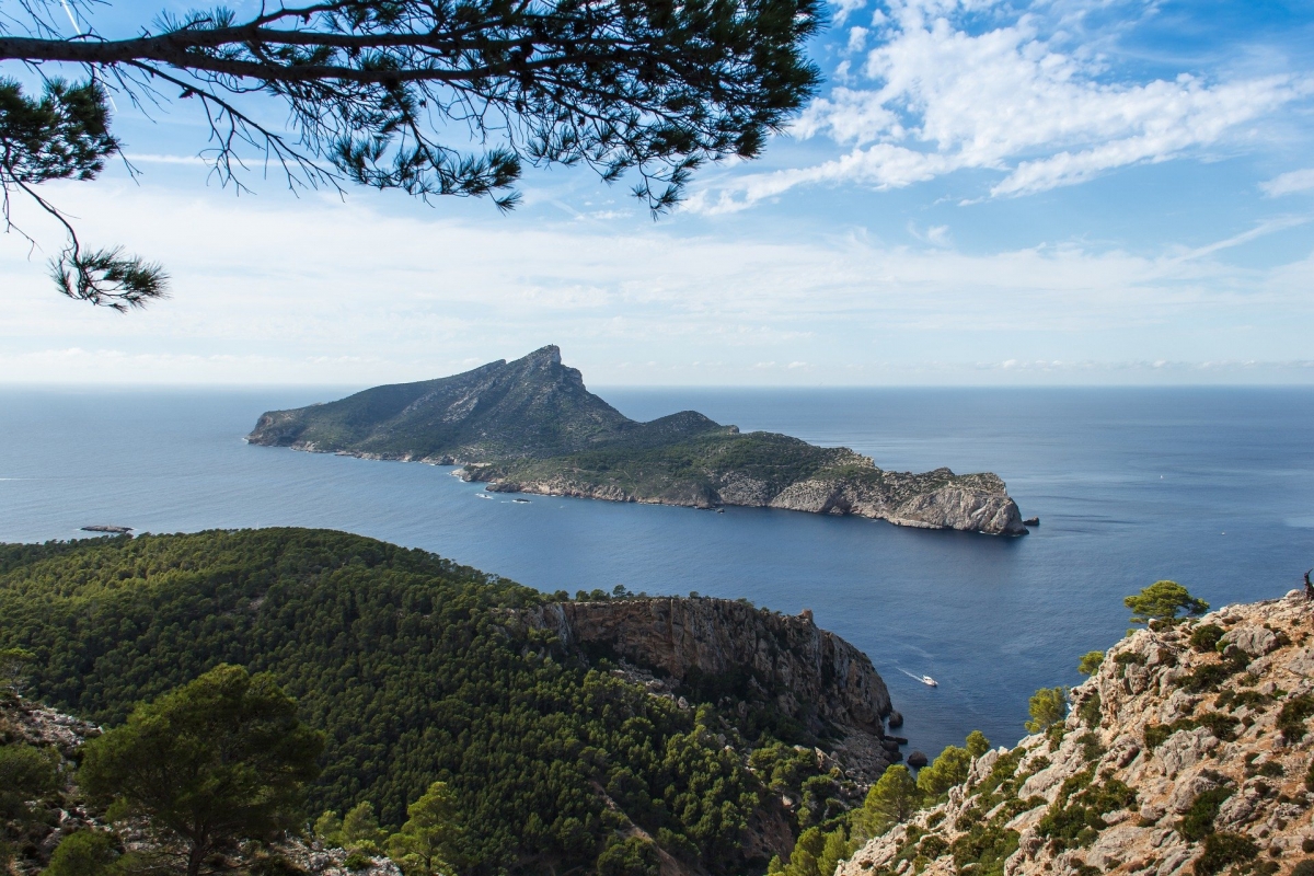 noticias palma de mallorca