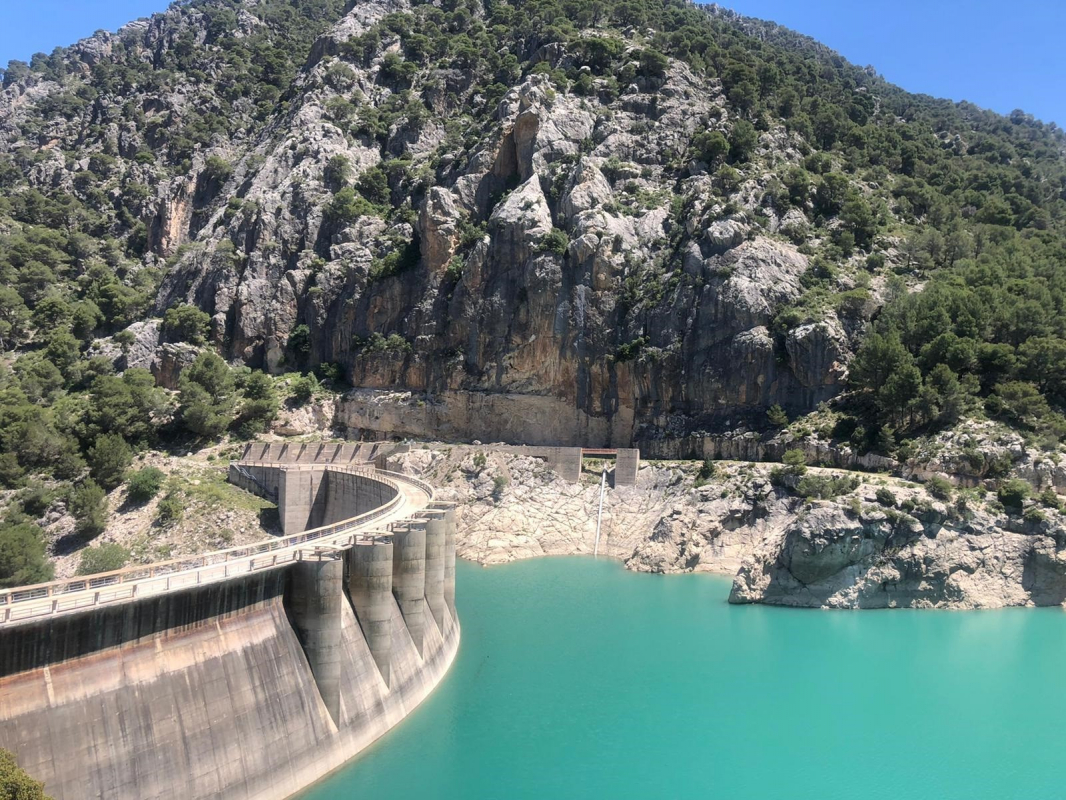 noticias palma de mallorca