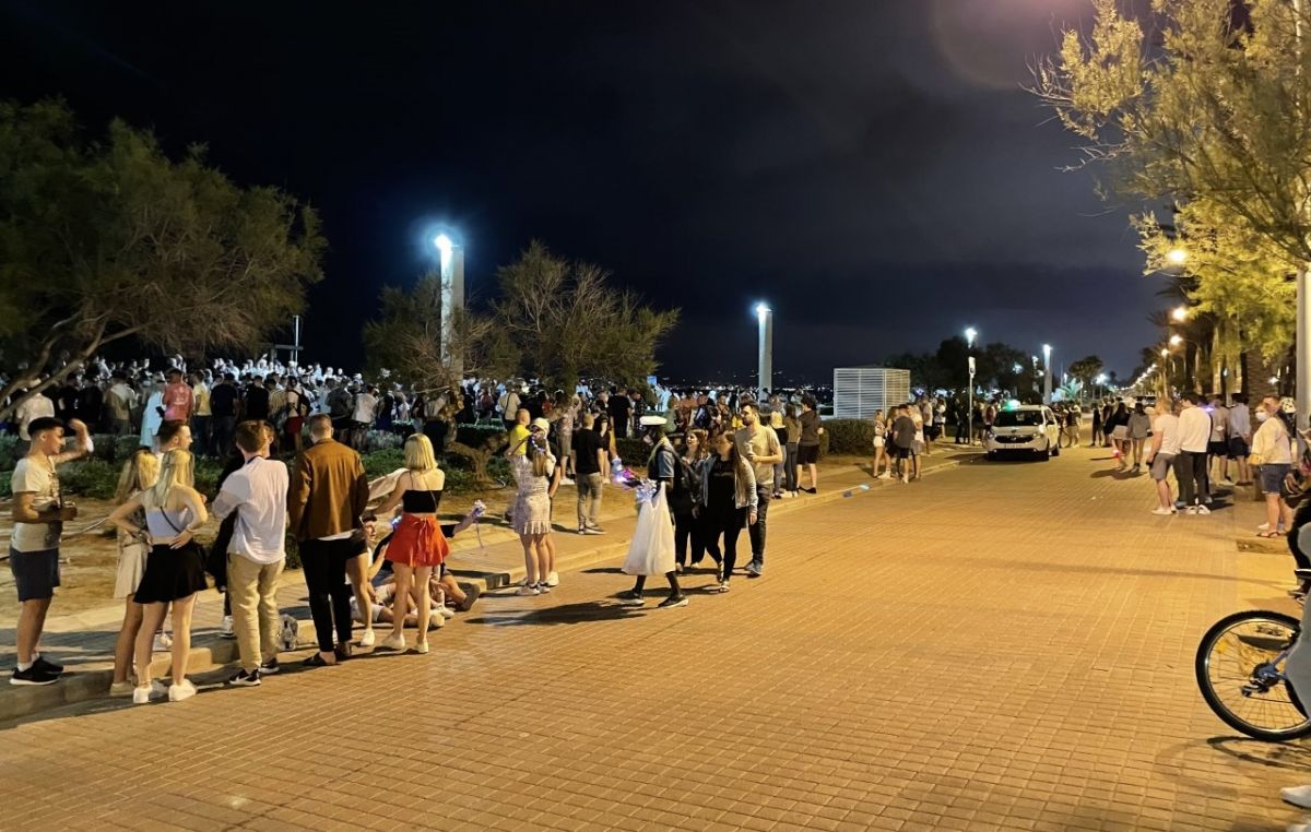 noticias palma de mallorca
