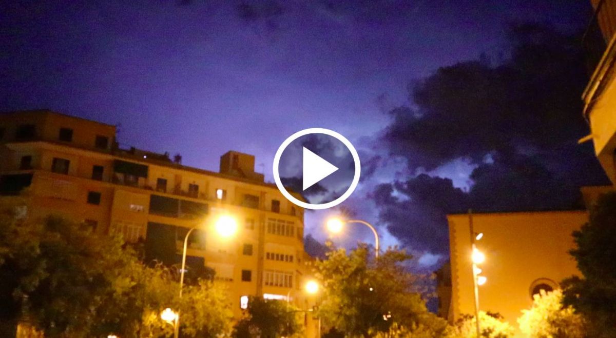 noticias palma de mallorca