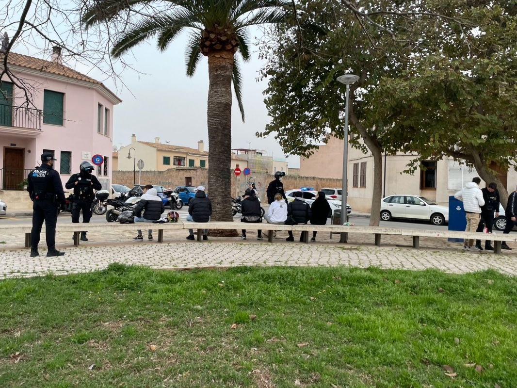 noticias palma de mallorca