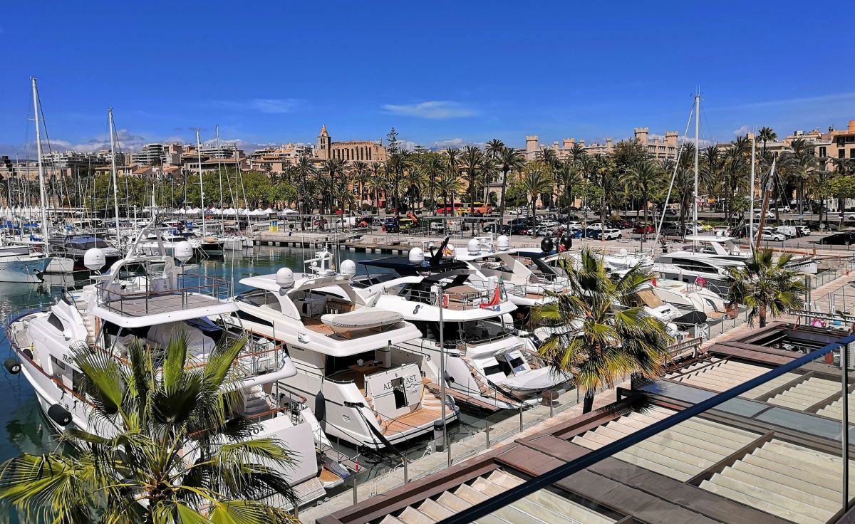 noticias palma de mallorca