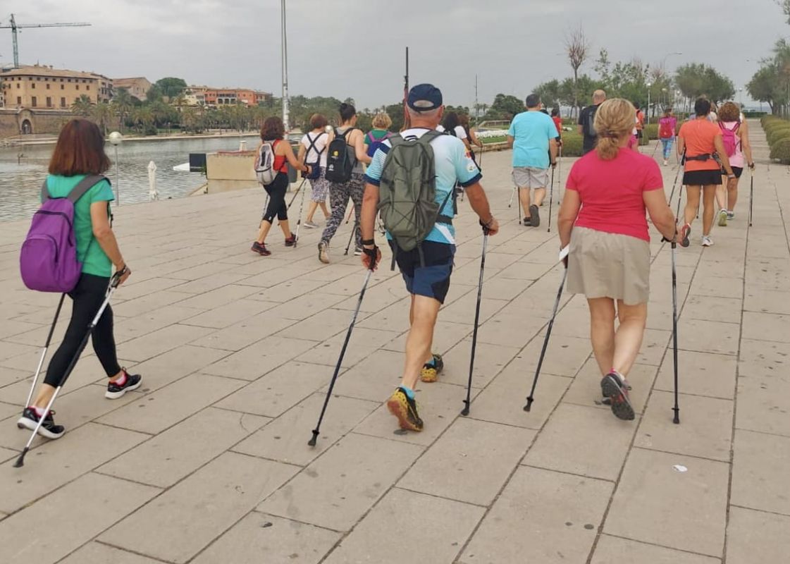 noticias palma de mallorca