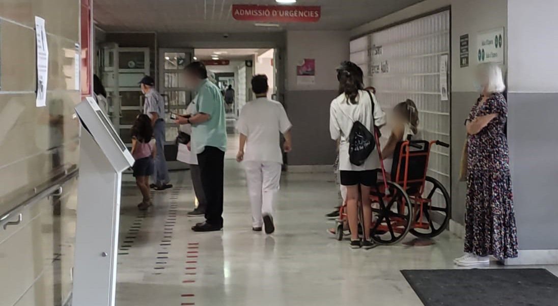 noticias palma de mallorca