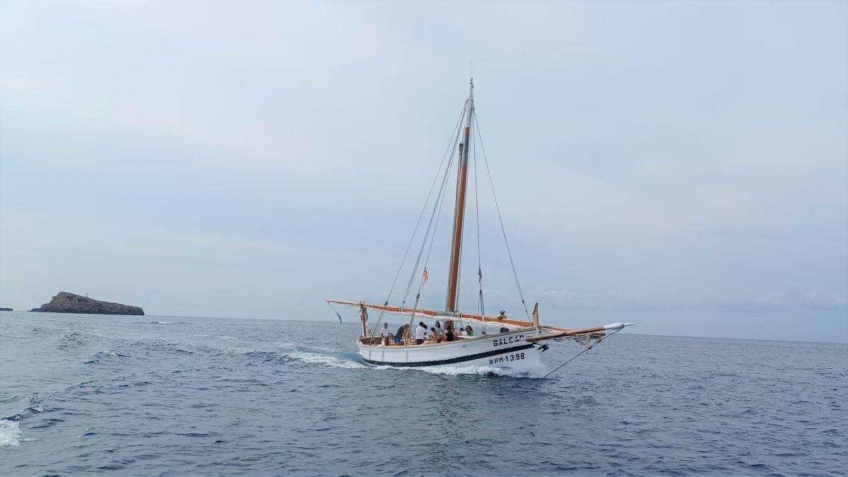 noticias palma de mallorca