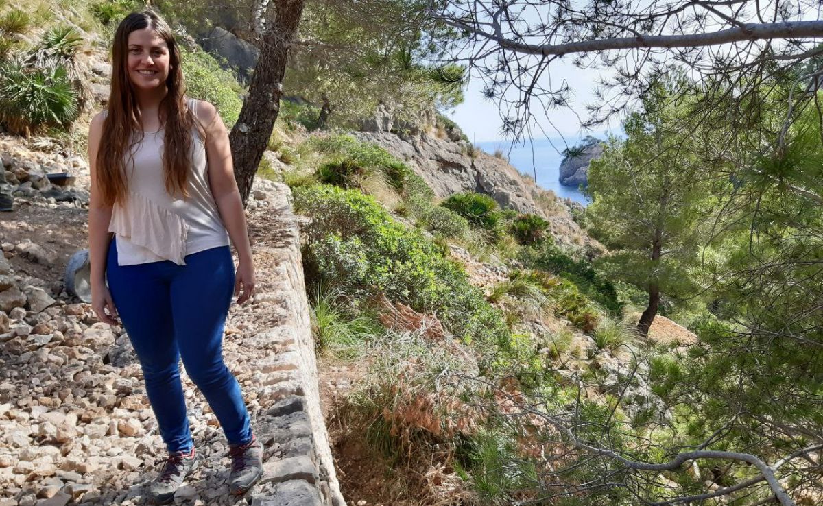 noticias palma de mallorca