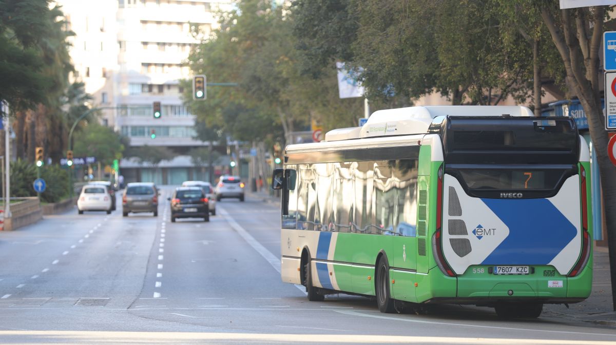 noticias palma de mallorca