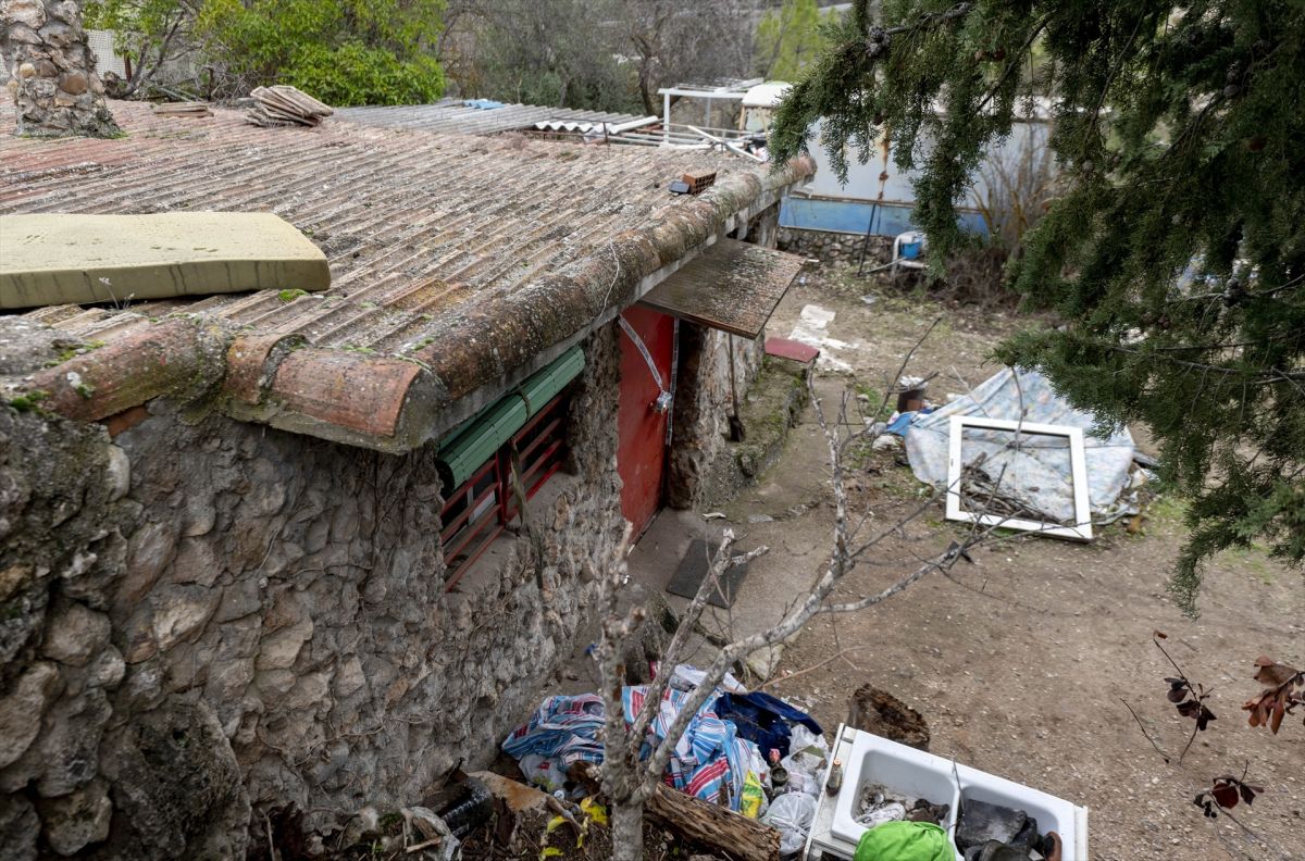 noticias palma de mallorca