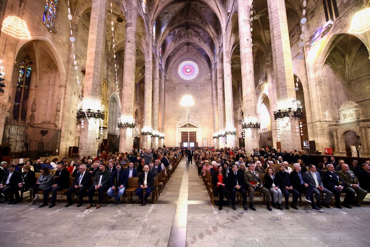 noticias palma de mallorca