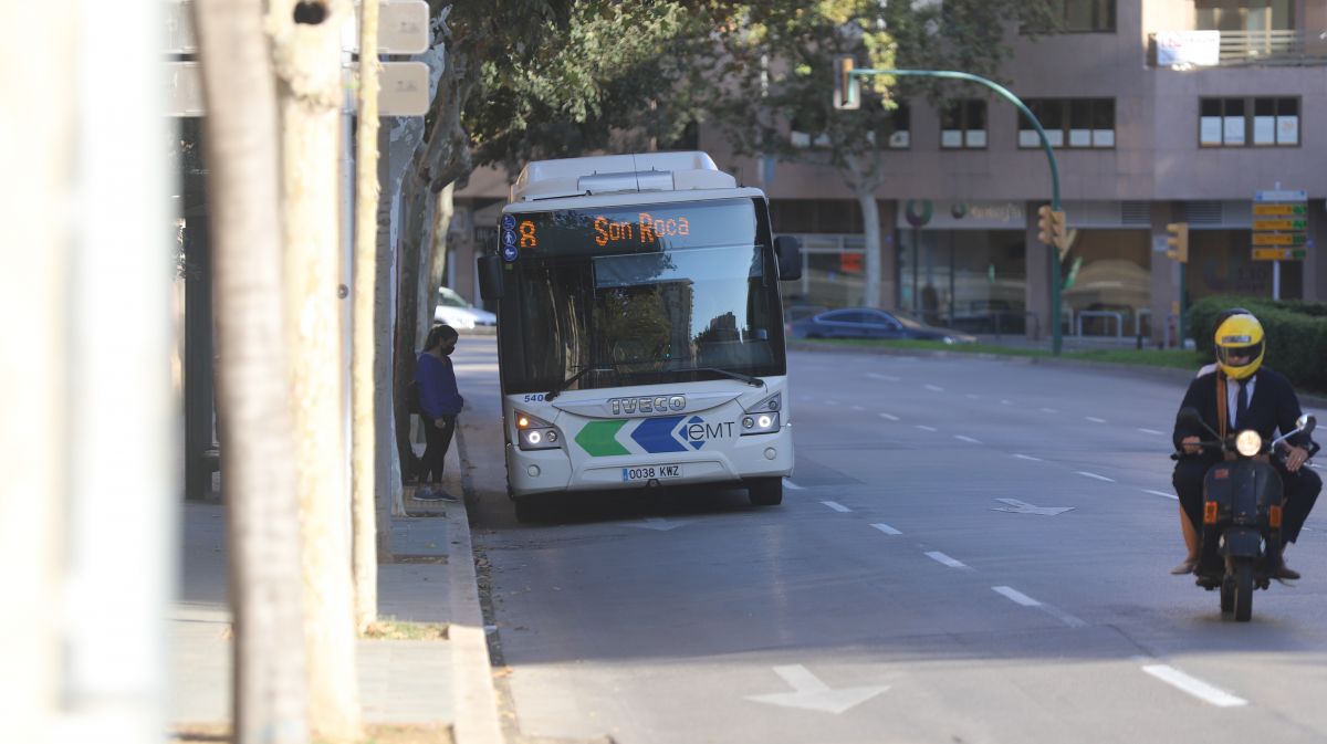 noticias palma de mallorca