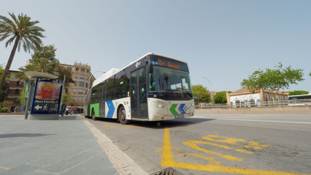 noticias palma de mallorca