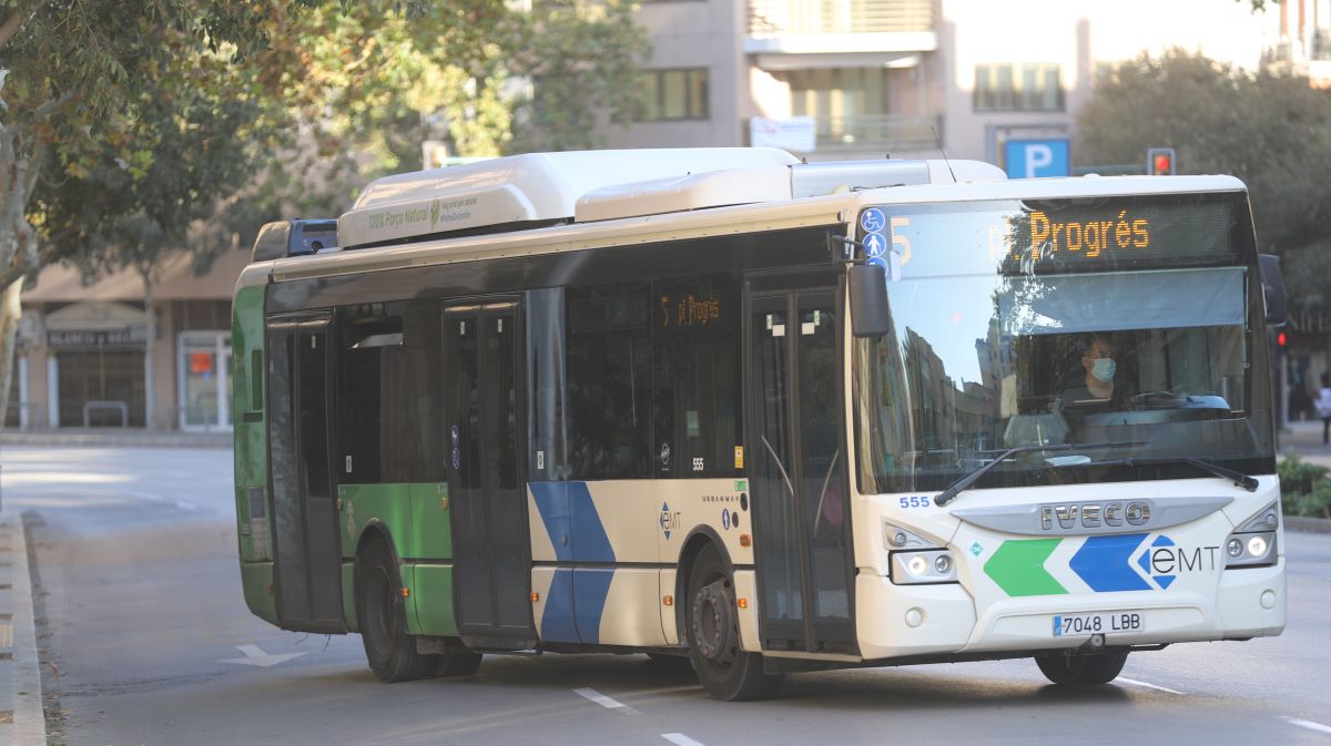 noticias palma de mallorca