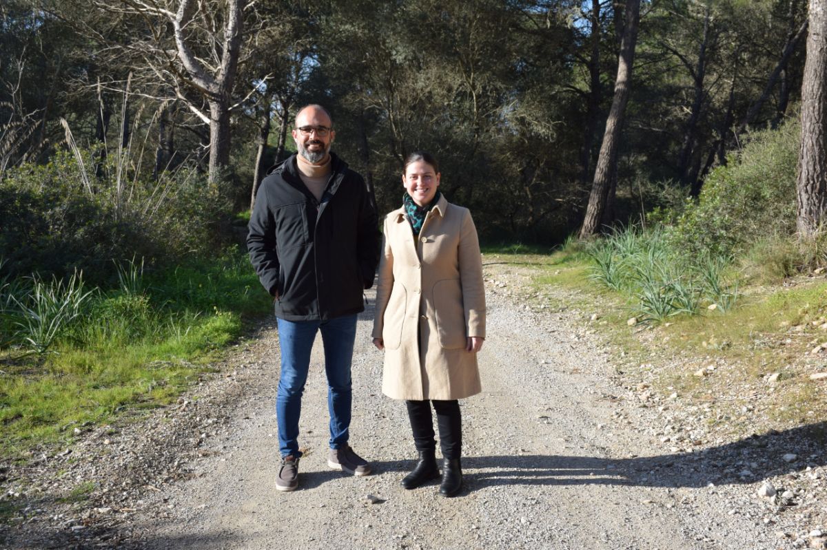 noticias palma de mallorca