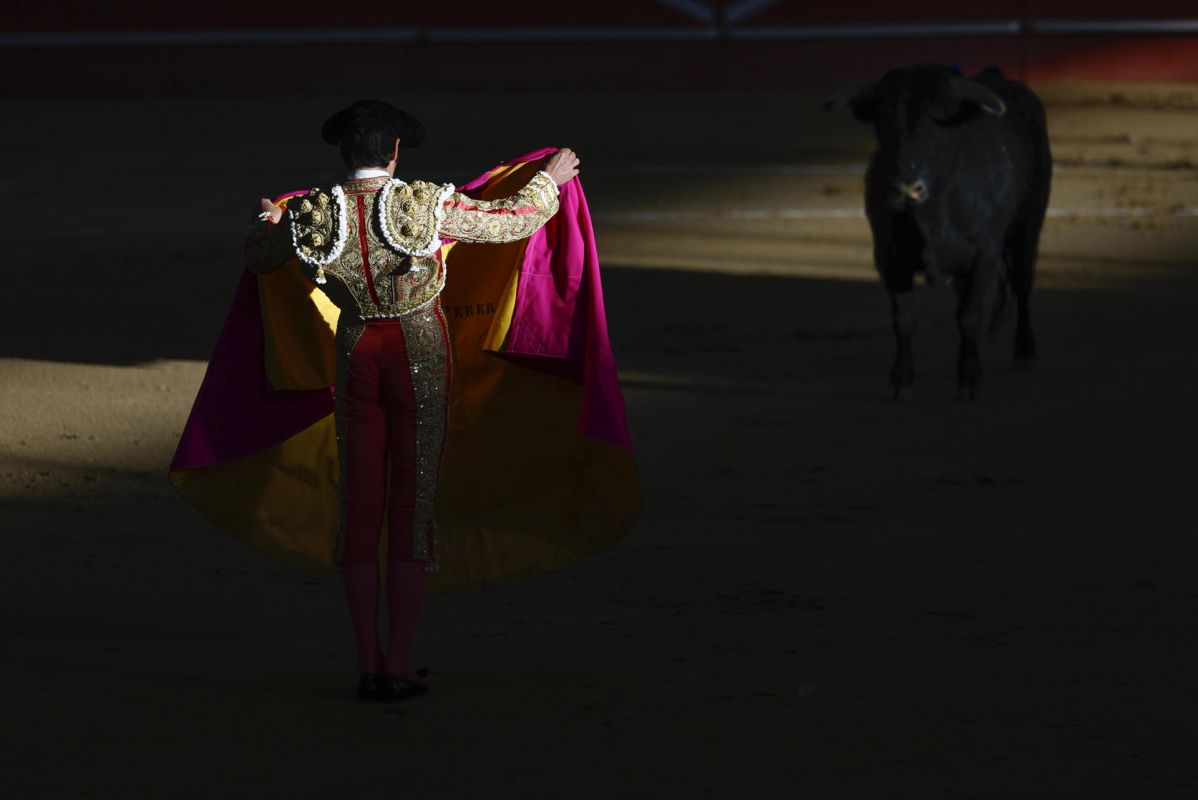 noticias palma de mallorca