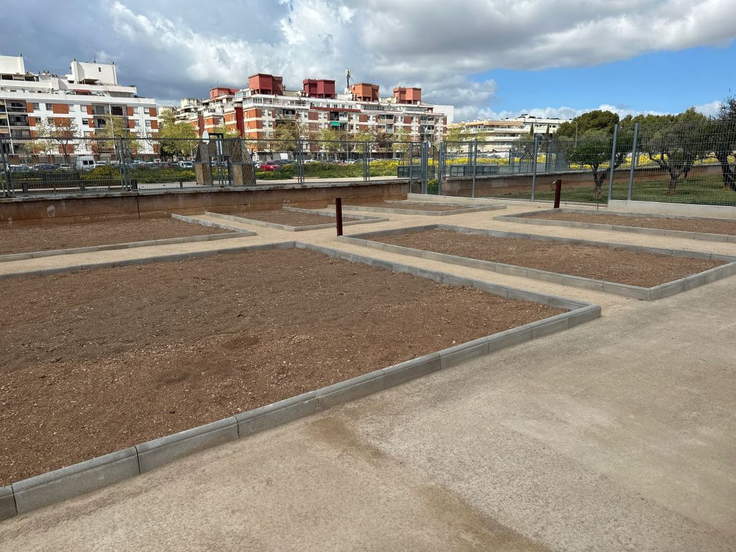 noticias palma de mallorca