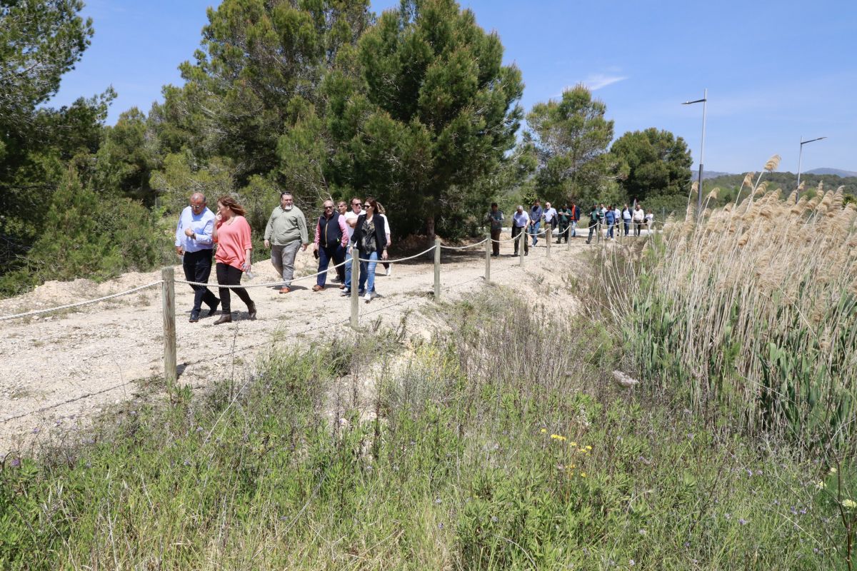noticias palma de mallorca