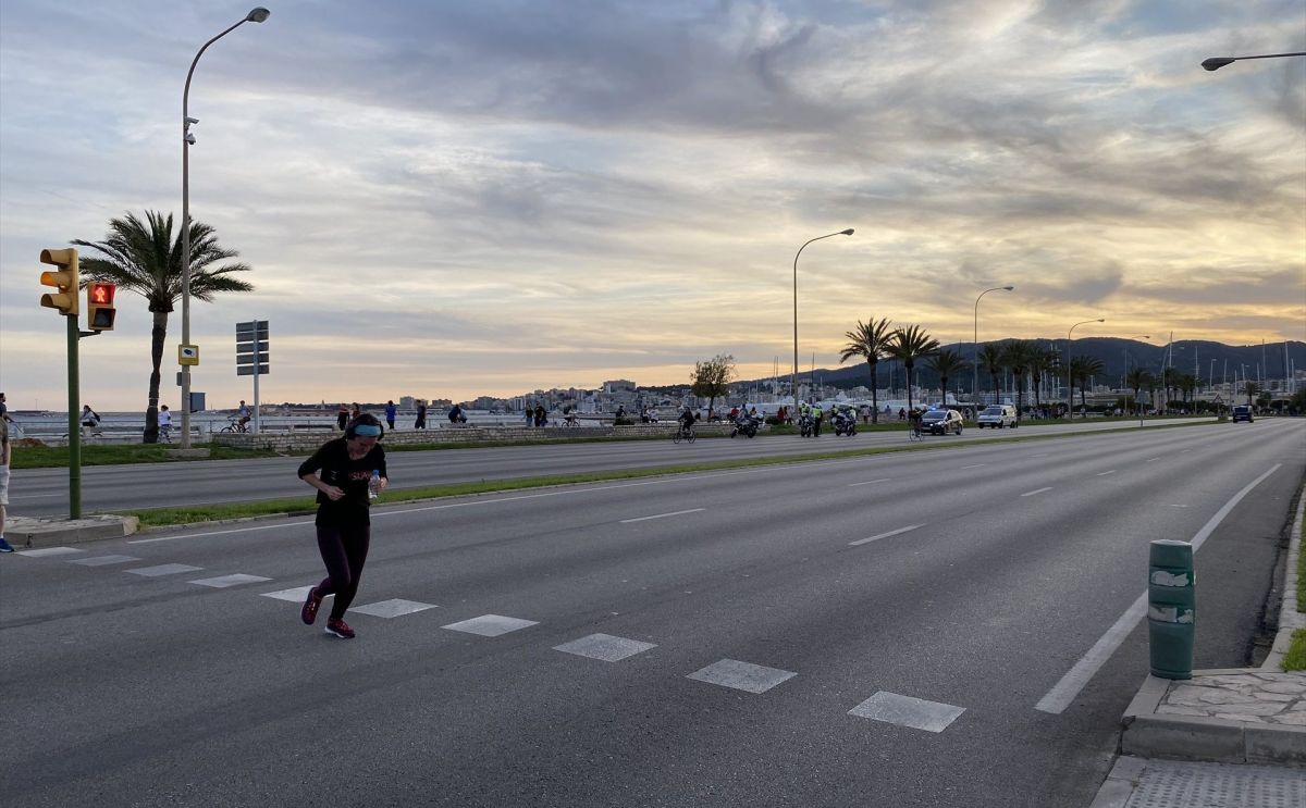 noticias palma de mallorca