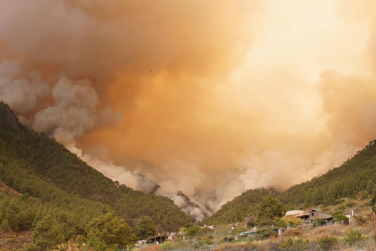 noticias palma de mallorca