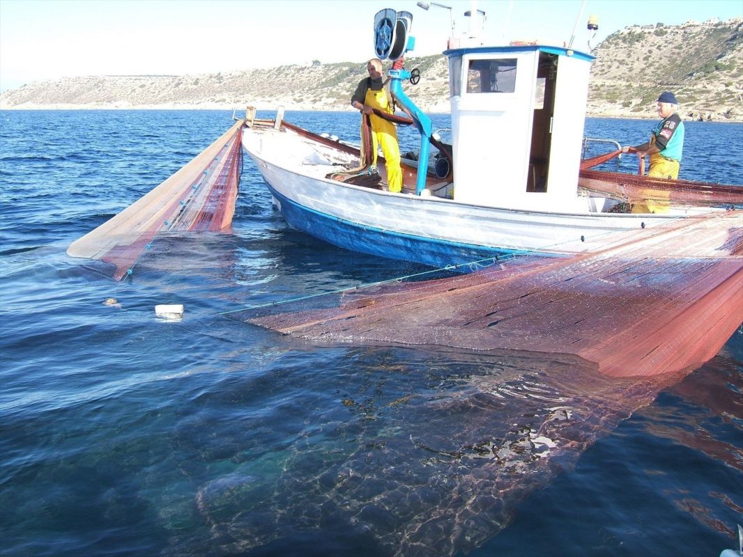 noticias palma de mallorca