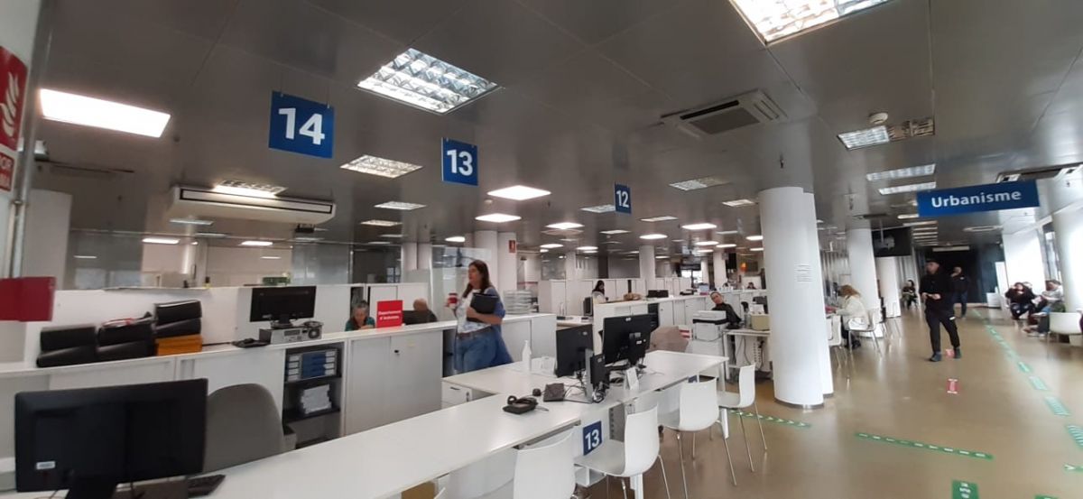 noticias palma de mallorca