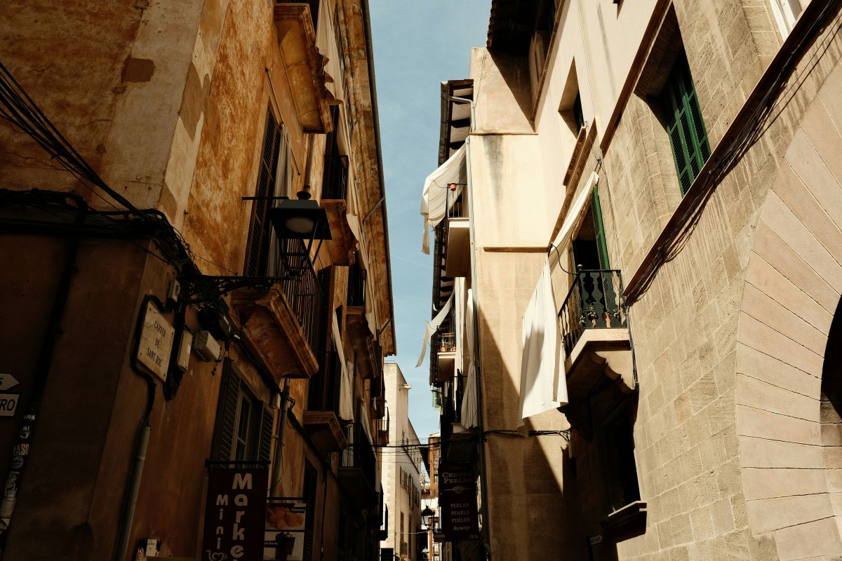 noticias palma de mallorca