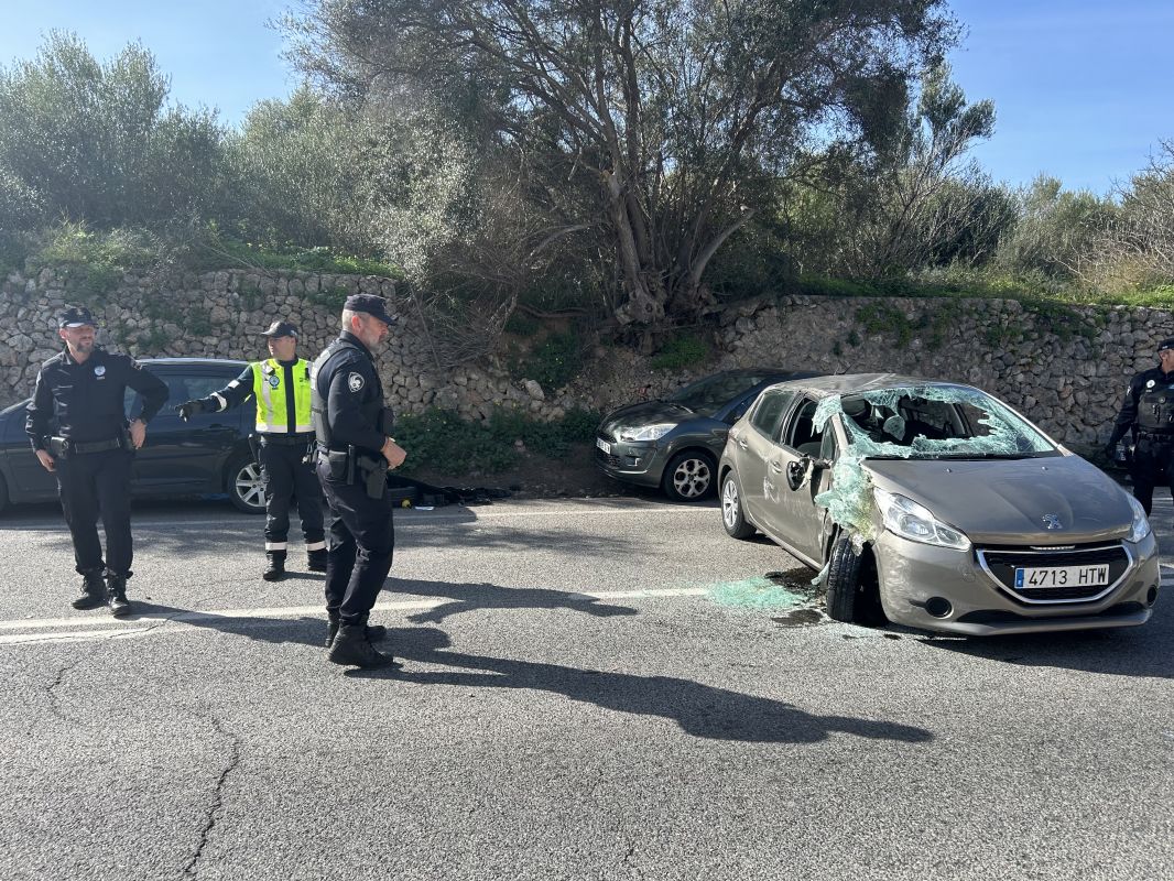 noticias palma de mallorca