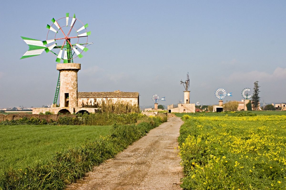 El Consell pide potenciar el valor paisajístico de los molinos de Mallorca