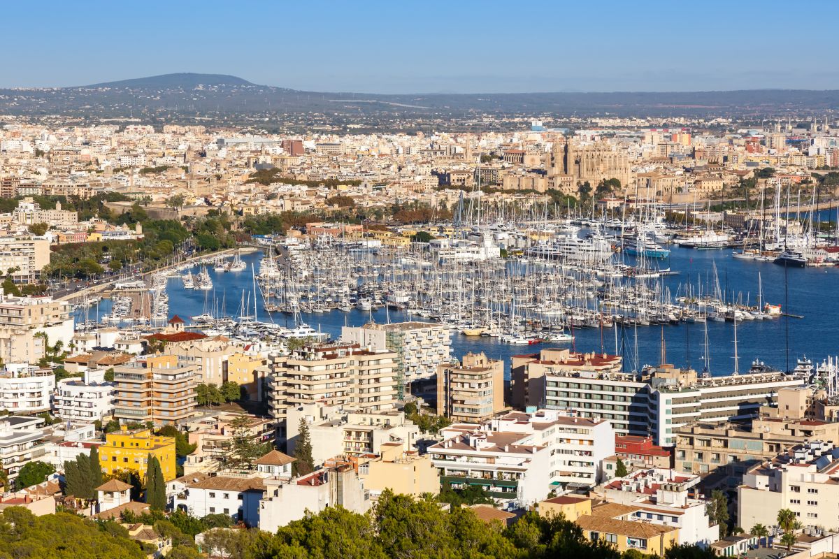 noticias palma de mallorca