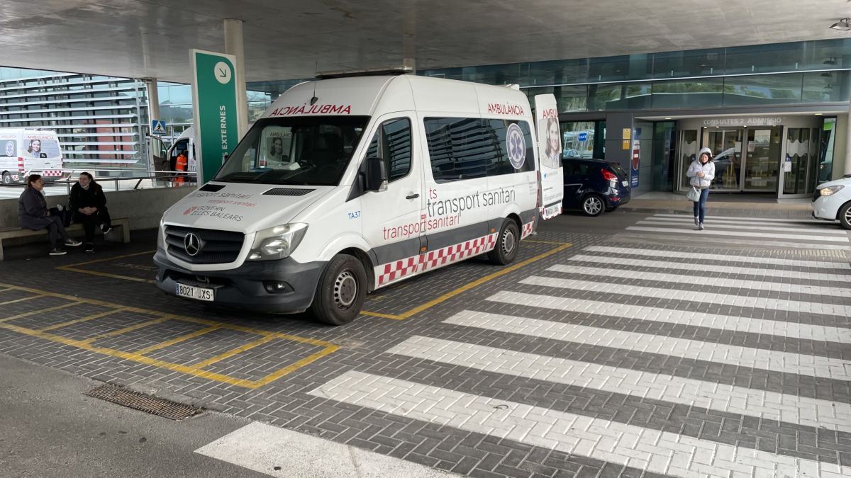 noticias palma de mallorca