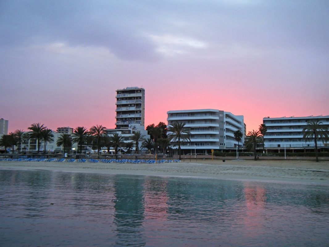 noticias palma de mallorca