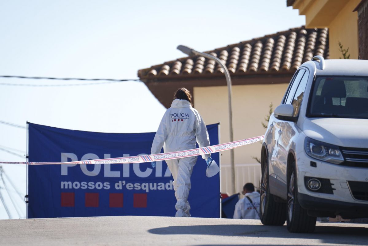 noticias palma de mallorca