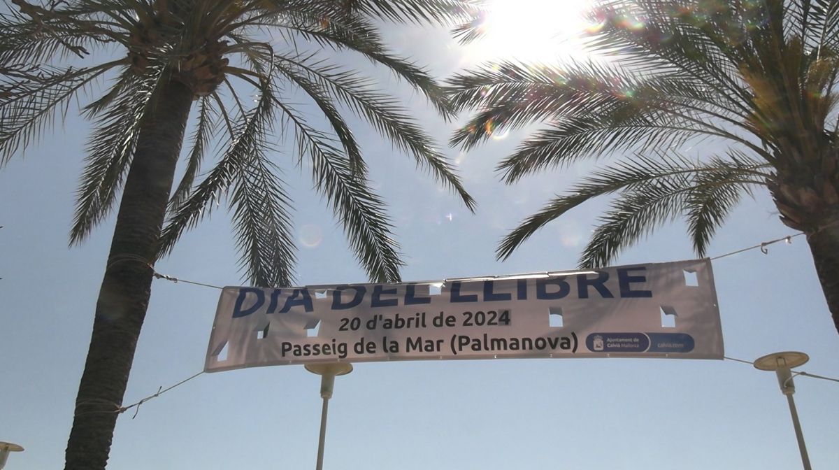noticias palma de mallorca