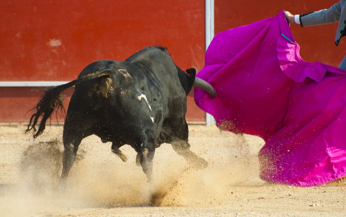 noticias palma de mallorca