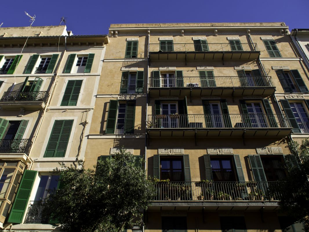 noticias palma de mallorca