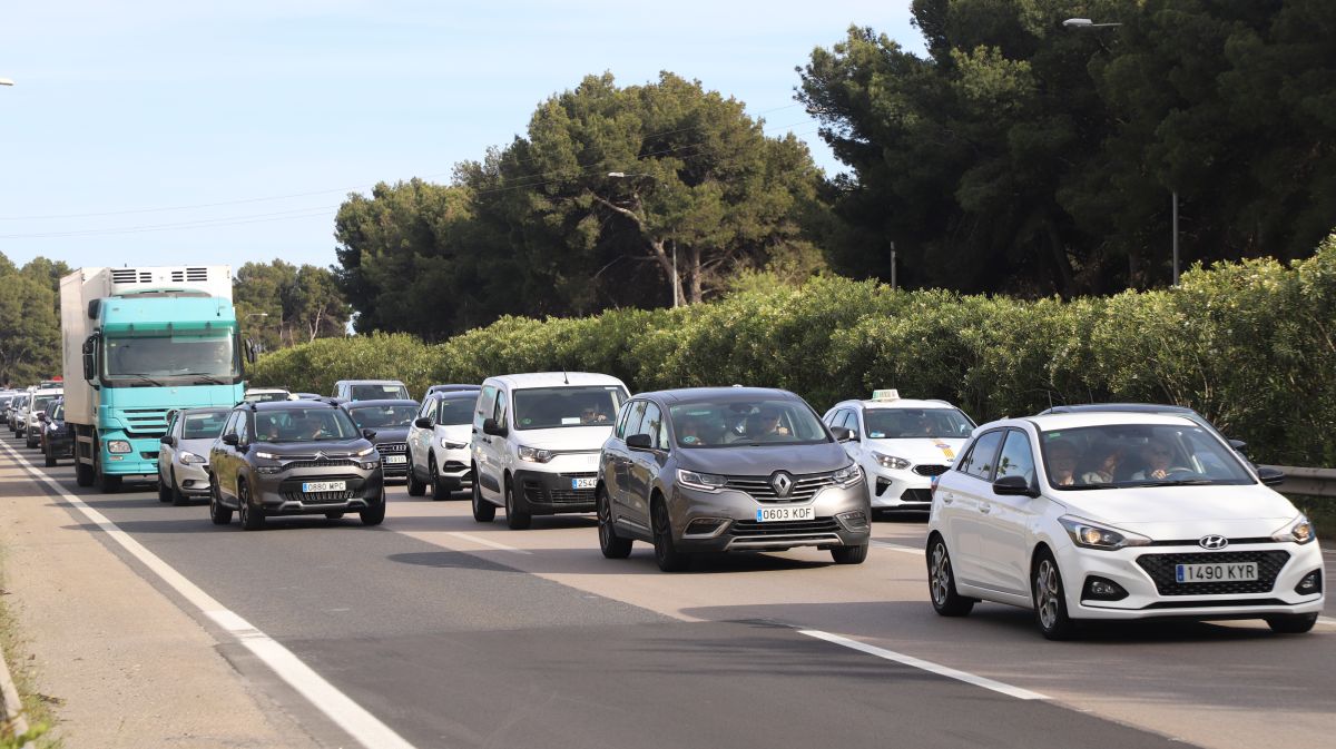 noticias palma de mallorca