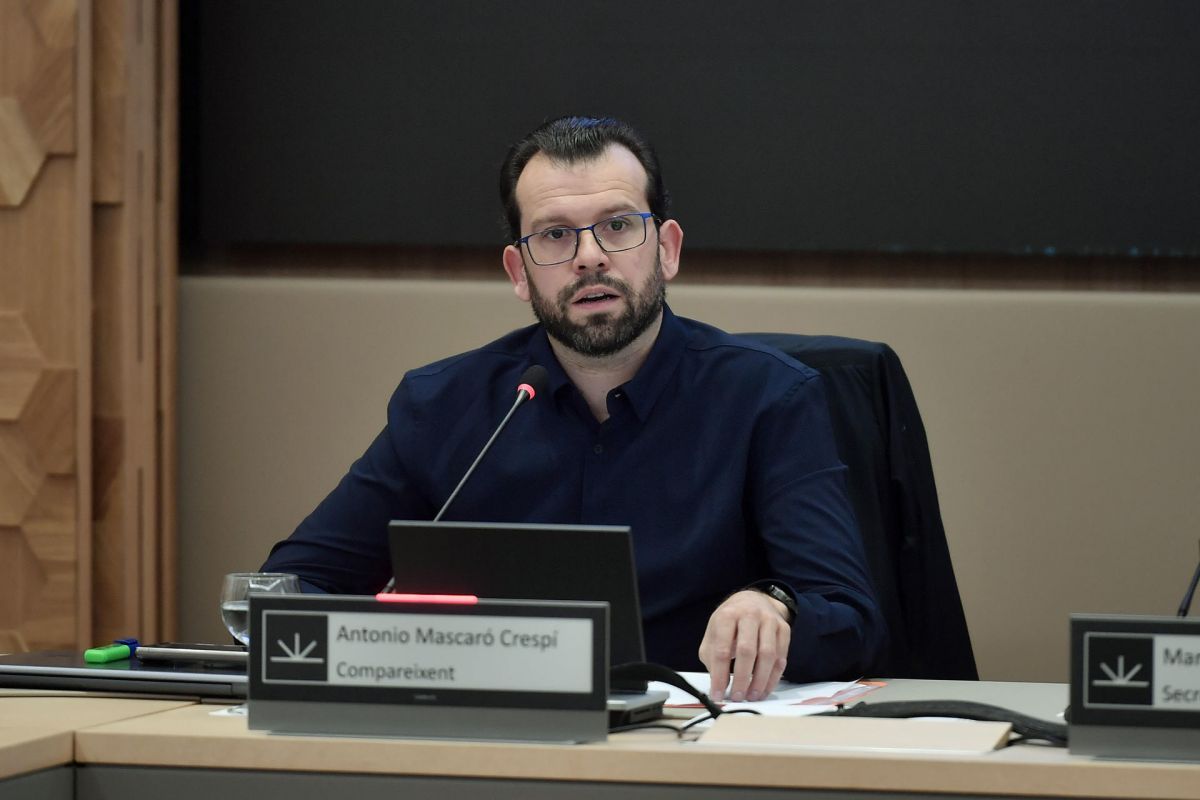 noticias palma de mallorca