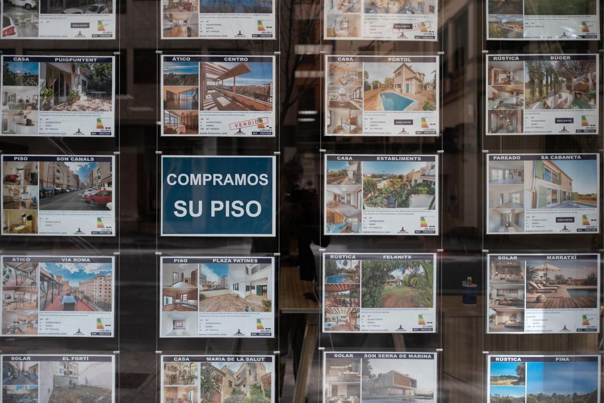 noticias palma de mallorca
