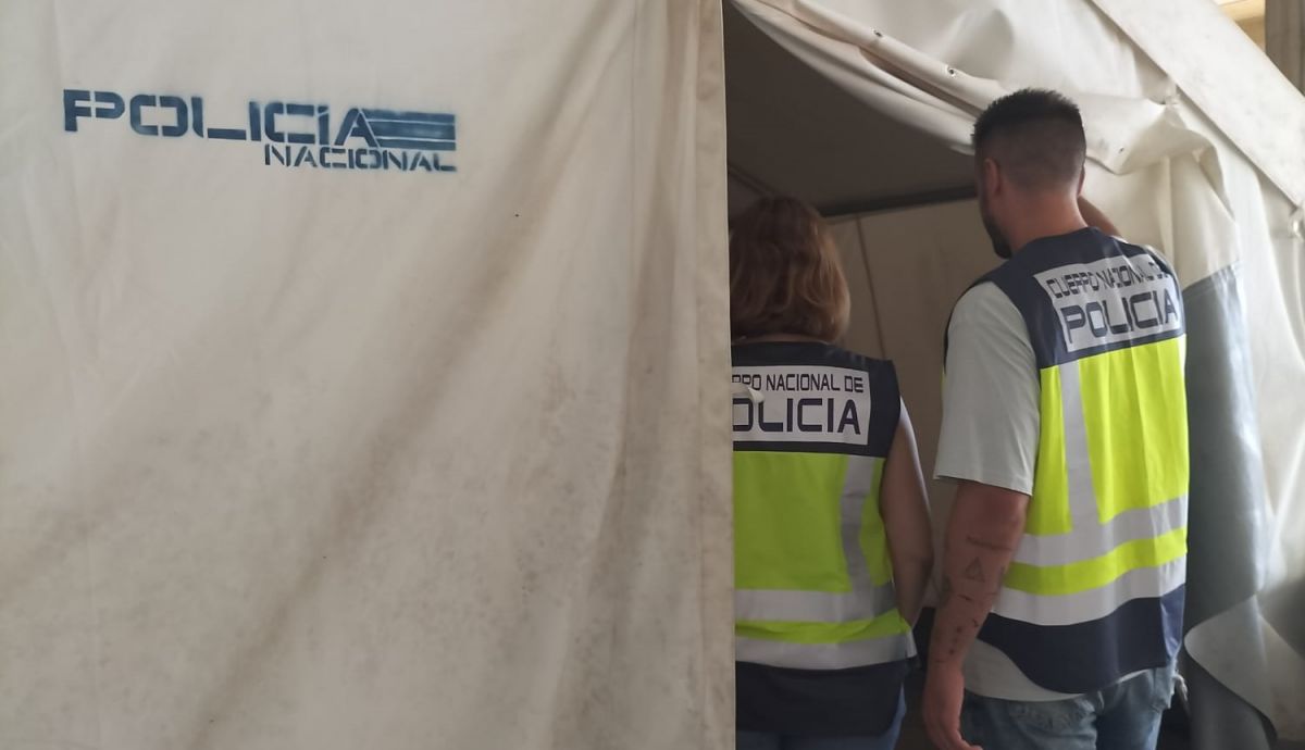 noticias palma de mallorca