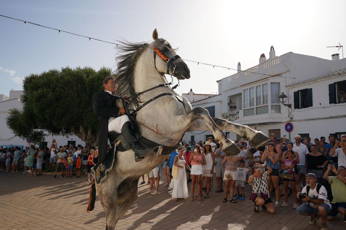 noticias palma de mallorca
