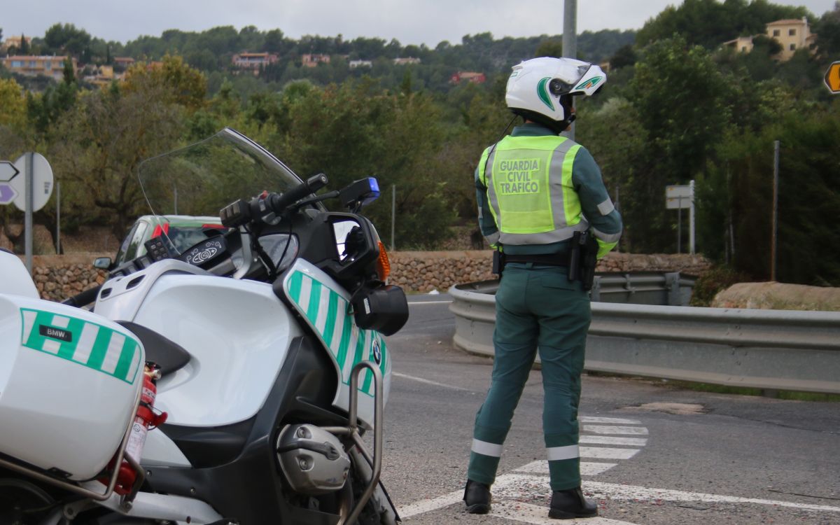 noticias palma de mallorca