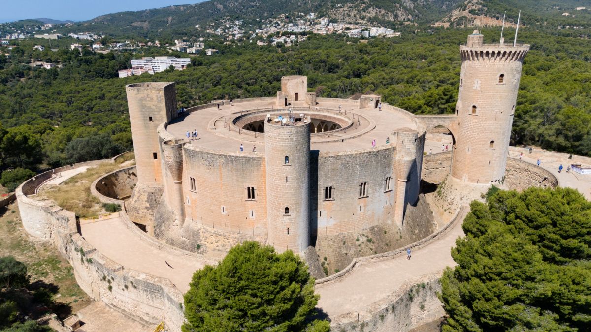 noticias palma de mallorca