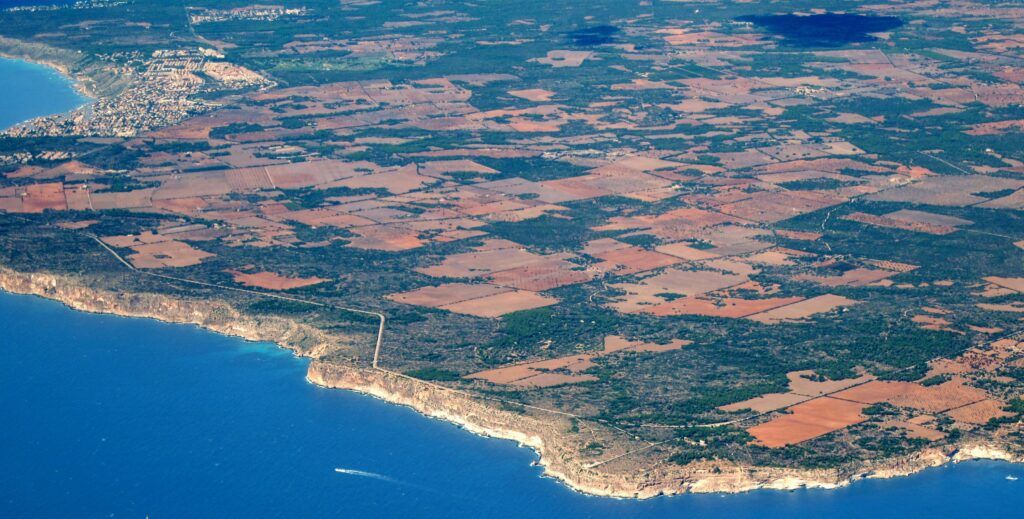 noticias palma de mallorca