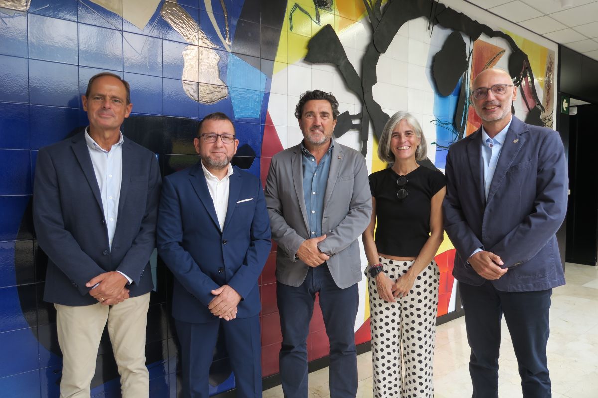 noticias palma de mallorca