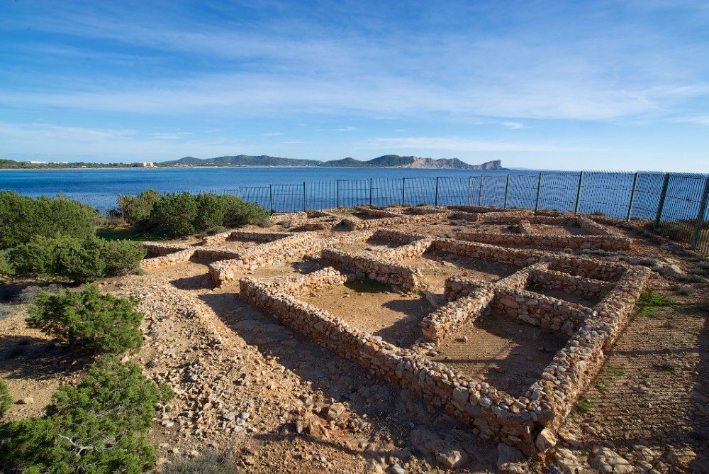 noticias palma de mallorca