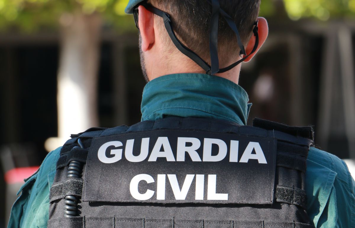 noticias palma de mallorca