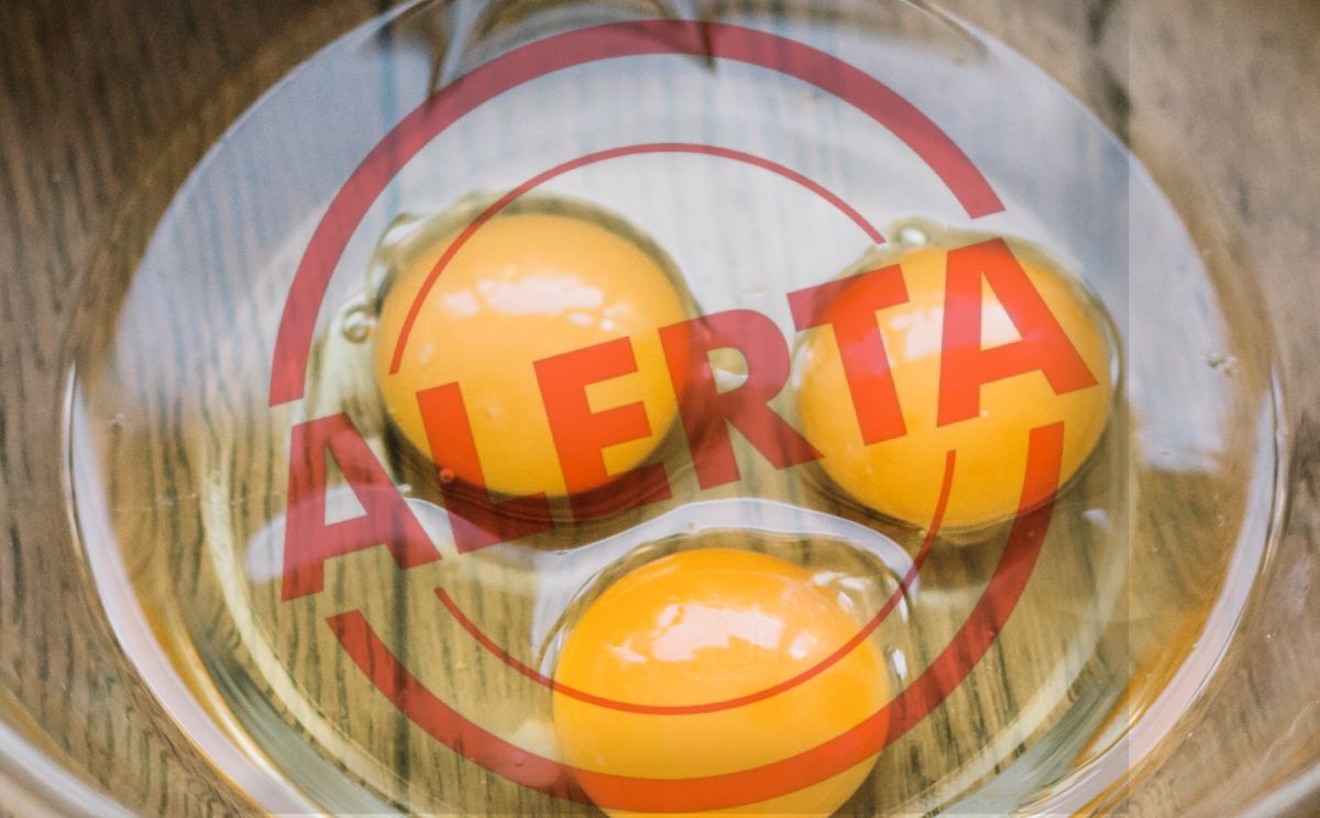 noticias palma de mallorca