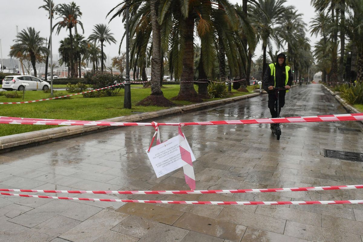 noticias palma de mallorca