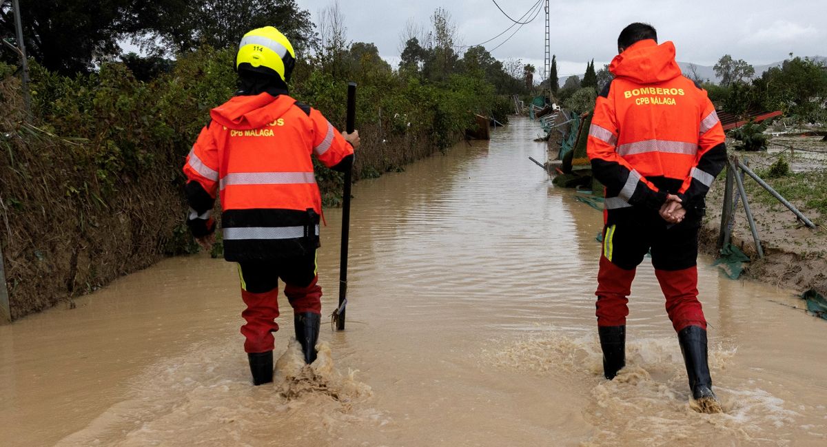noticias palma de mallorca