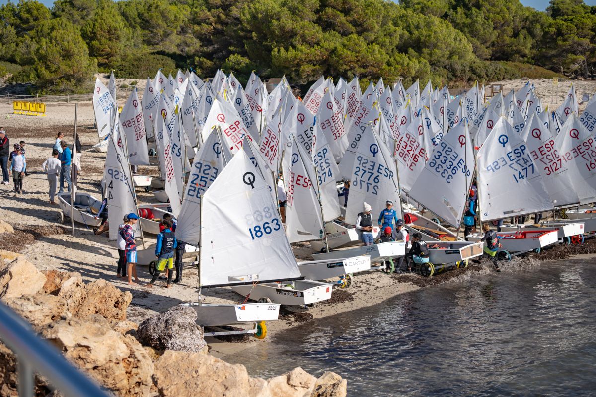 noticias palma de mallorca